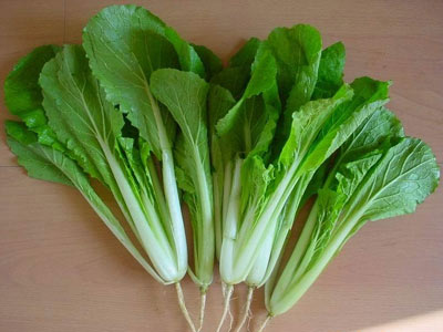 营养与养生:十大廉价食物竟能长寿 - 一叶一绿洲 - 一叶一绿洲