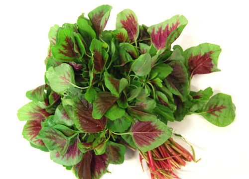 8种食物胜过<em>吃钙片</em>(图)