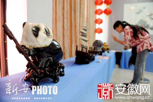 合肥裕丰花市观赏石博览会今开展 市民可免费