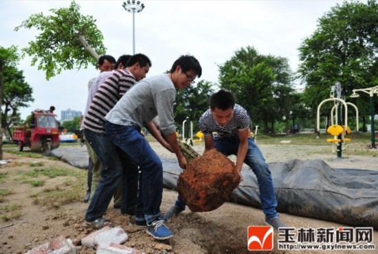 玉林各县人口_广西玉林各地人口(2)