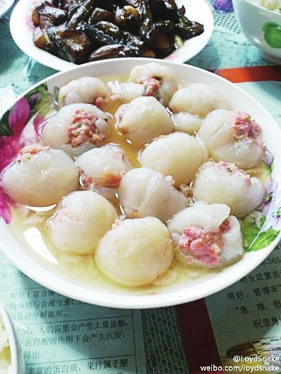 @FnֳG@DKoޥXKt¦YkEťAQѤW͡Loyd-SnakeLծͪKפSbWް_aMjiAbFֺ͡C