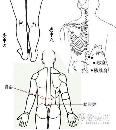 <em>女人</em>腰痛<em>怎么</em>缓解 按摩5穴位缓解<em>腰疼</em>--人口频