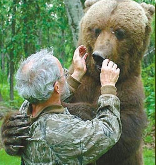 世界最凶猛的动物_世界上最凶猛的十种动物,惹谁都不要惹他们