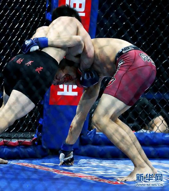 2013武林风真武综合格斗大赛在京举行