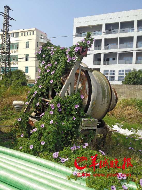 深圳五个保障房项目成 弃儿 业主单位龙岗区都