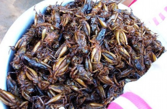 新疆烤全骆驼每斤60遭抢购 重口味食物盘点【7】