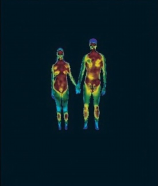 揭秘人类性爱全过程(组图)