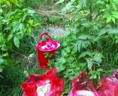 新娘因没感情结婚当天悔婚男方索赔20万(图)