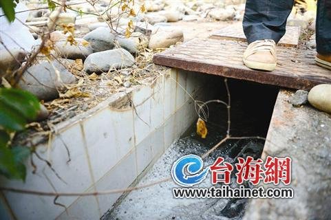 翔安一村水渠被污染 菜農：種的菜自己都不敢吃