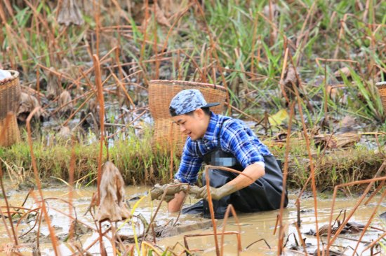 爸爸去哪儿》囧爸下地挖藕 林志颖似马里奥[图
