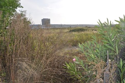 江苏东台开发区千亩土地被圈占+抛荒10余年(图