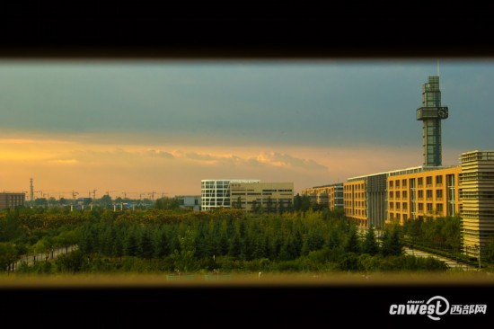 秋风吹渭水落叶满长安 西电校园秋色实拍