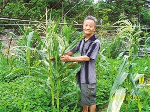八旬老人的“农业报国梦”