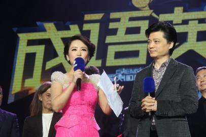 崔永元幽默回应离开央视传闻 河南卫视当 成语