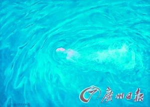 1994 No.6ͻ