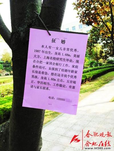 母亲代女征婚 校园挂"征婚广告"寻准女婿(图)