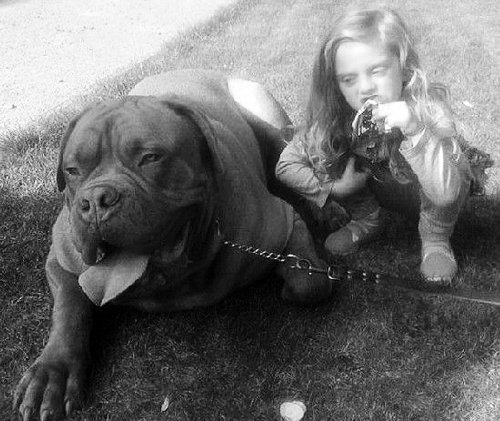 英国4岁女童被自家藏獒犬咬死 狗曾遭<em>虐待</em>--湖