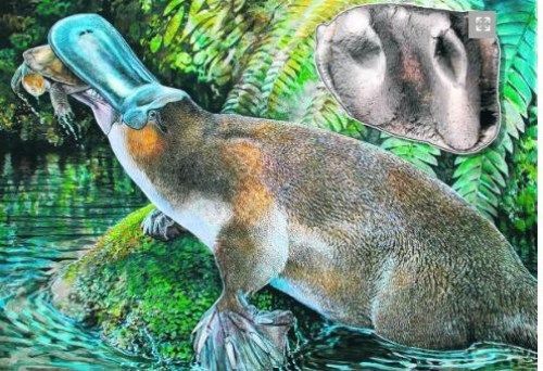 ǻұµľѼޣСͼǹѧʿɳĮֵľѼݻʯ