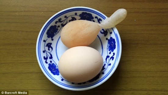 ���۽磺����β�͵ļ���(��ͼ)