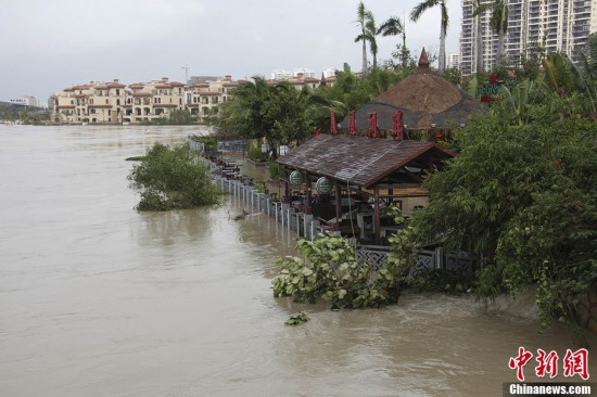 台风海燕过后三亚一片狼藉 合抱大树连根拔起