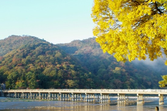 日本人独自旅游调查 海外最爱台湾(图)