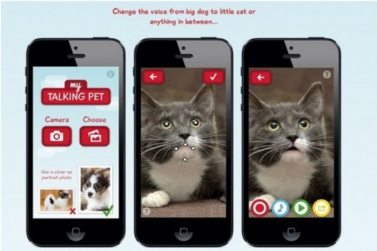 苹果推出新应用会说话的猫 和宠物聊天