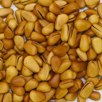 松子枸杞荔枝 13种食物养出 床上超人 (组图)