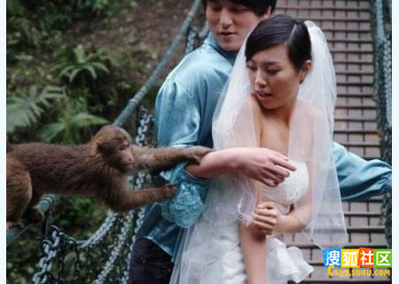 ��Ů���·��¶� ����Ϯ�ض���Ҳ��ɫ��ͼ��