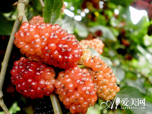 养生:柠檬樱桃草莓 冬季养颜水果Top17