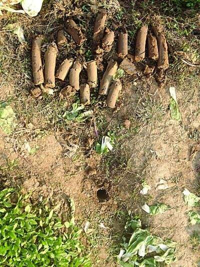 �������������������궴