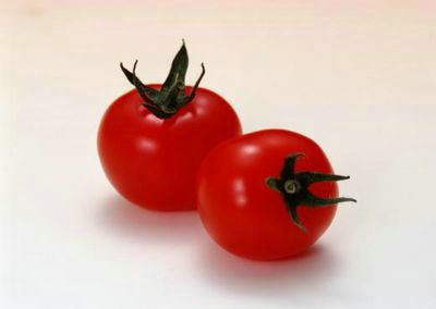  ӵʮֹЧ 
