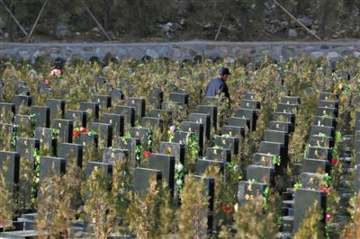 北京非法墓地建"活死人墓:为应付检查(图)