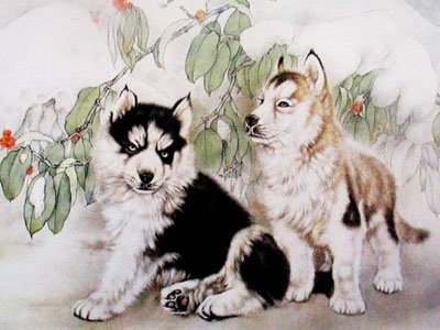 2014年十二生肖运势【23】