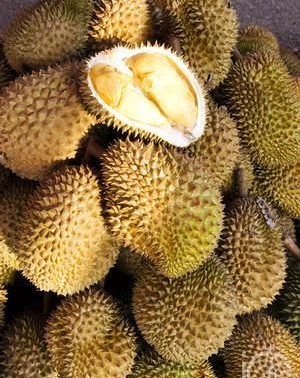 8ѳʳӪ