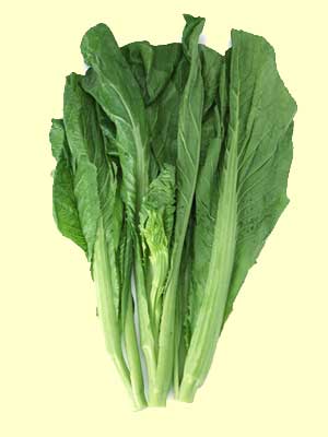 ʳ裺ʮָԼ¶ĳԷ