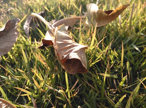 1499元努比亚Z5S mini评测