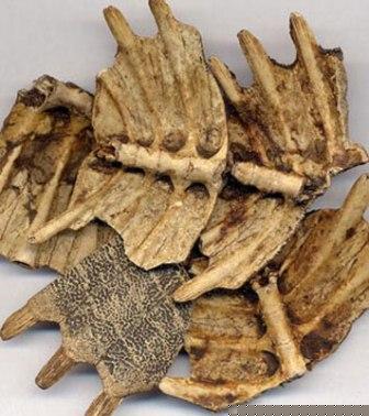 女性养生：当归防痛经 常吃10种食物防妇科病