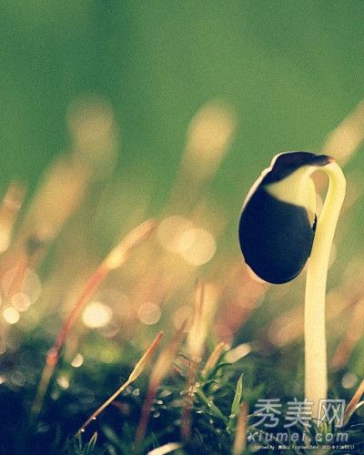 冬季减肥每天狂瘦1斤不禁嘴 15大天然吸脂食物