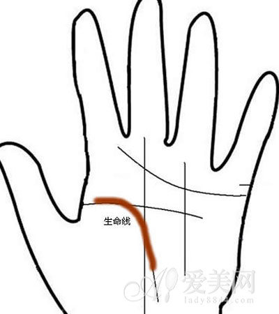 健康卫生频道 原标题:从掌纹自测健康状况 生命线长=寿命长【图】