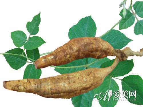 女性可以长期吃葛根吗,女性可以长期吃葛根吗好吗-第5张图片-Otaku Male Knowledge 女性可以长期吃葛根吗,女性可以长期吃葛根吗好吗-第5张图片-Otaku Male Knowledge