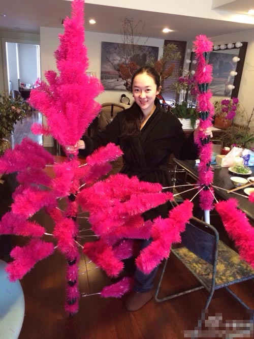 霍思燕夫妇为爱子装饰圣诞树 豪宅内景曝光