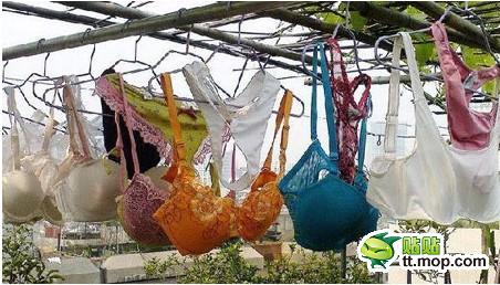 偷<em>美女内</em>衣裤男子晾衣栏杆上留纸条只为引起对