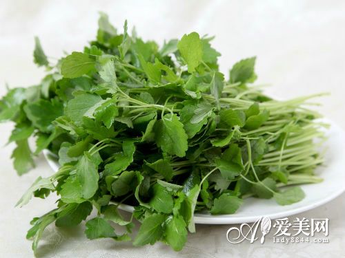 女性养生:今冬不做 宫寒女 10种食物暖宫