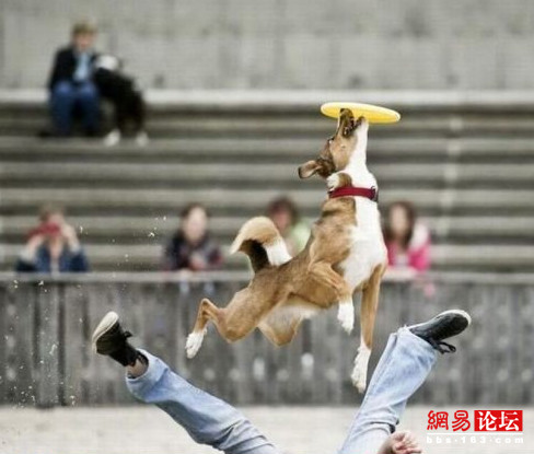 抓拍运动场上的香艳和爆笑瞬间