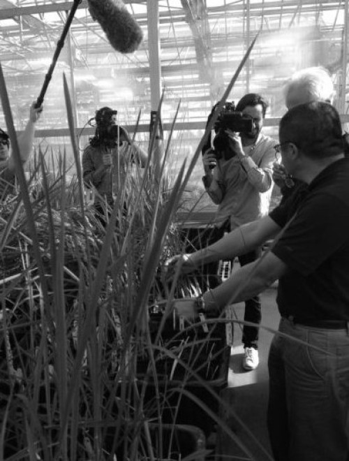 �̵����Ԫ�Է���Ƭ�����¼�����Ļ�� һ������һ�Ƿ����ӣ�