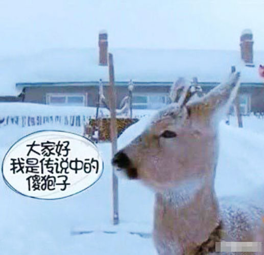 色情快播ddd42狠狠高清图片
