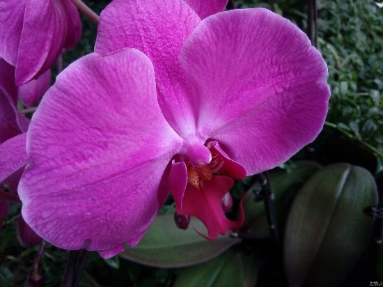 荣耀3c后置摄像头室内拍照样张