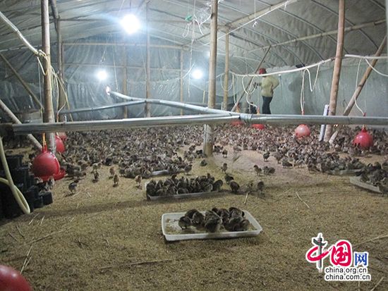 北上广人均存款_楼德镇人均纯收入