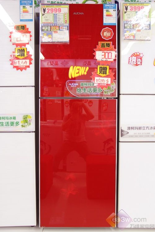 食物好管家 澳柯瑪BCD-230FGN冰箱上市 