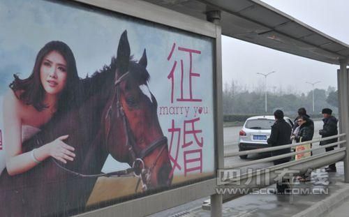 女孩花费上百万元在200个公交站台登广告征婚